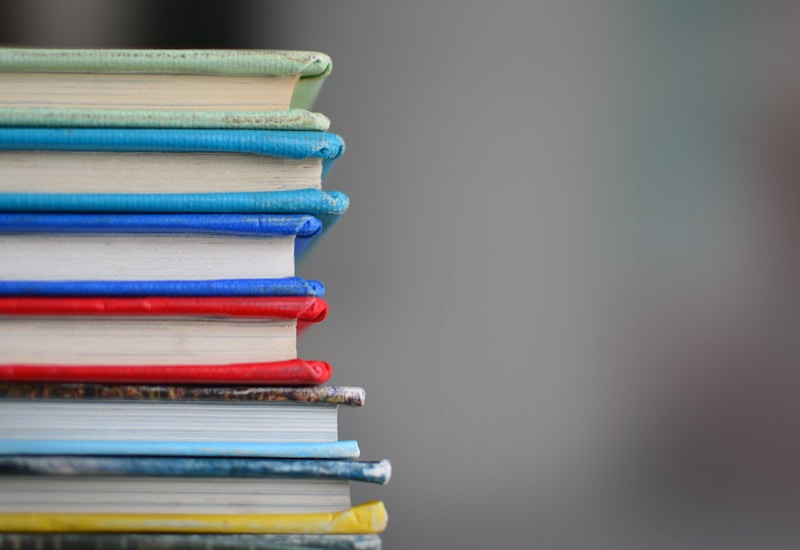 School Fees Support